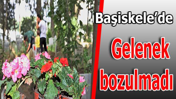 4 bin adet begonya türü çicek dağıtıldı