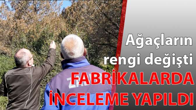 Ağaçların rengi değişti, fabrikalarda inceleme yapıldı