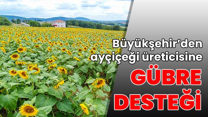 Büyükşehir’den ayçiçeği üreticisine gübre desteği