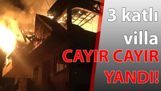 Cayır cayır yandı!