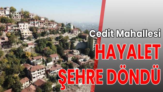 Cedit Mahallesi hayalet şehre döndü