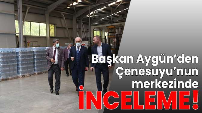 Çenesuyunda inceleme