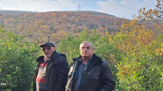 Çöp Tesisi İçin 50.000 Ağaç Kesilecek
