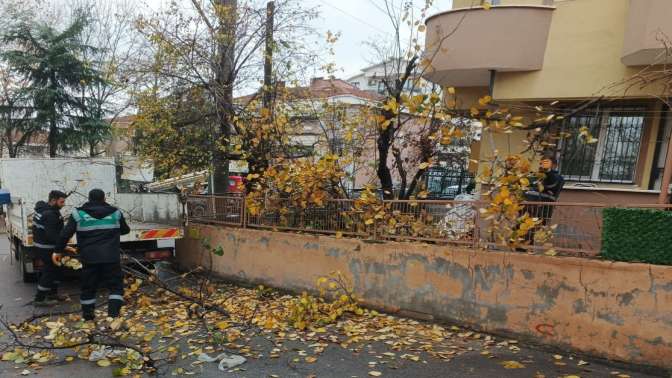 Derince’de Yeşil Alanlar ve Parklar Pırıl Pırıl