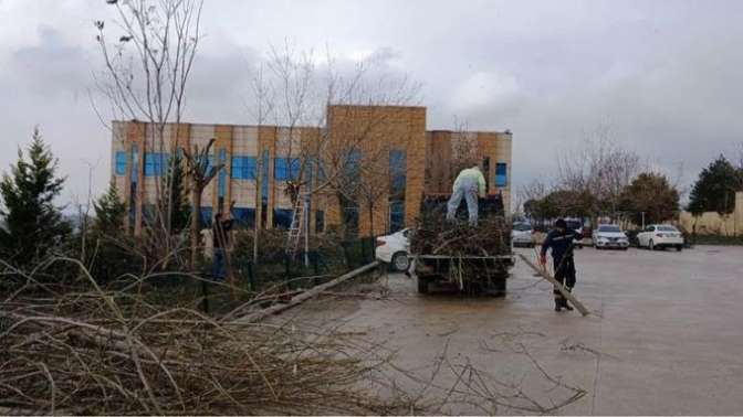 Dilovası Devlet Hastanesinde Ağaç Budama ve Çevre Düzenlemesi Yapıldı