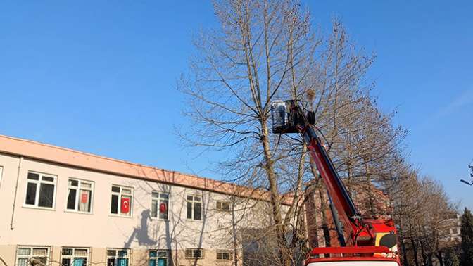 Dilovası’nda 15 tatilde ağaç budama çalışmaları devam ediyor