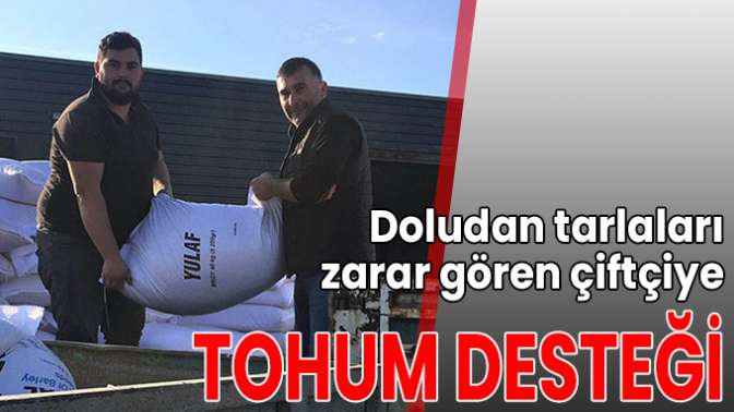 Doludan tarlaları zarar gören çiftçiye tohum desteği