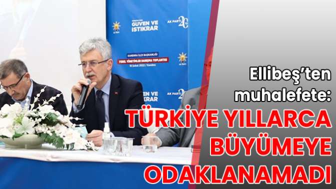 Ellibeş: Türkiye yıllarca büyümeye odaklanamadı