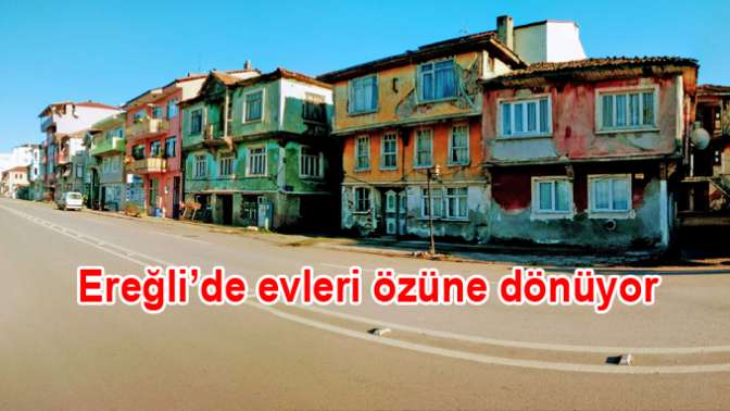Hayat Buluyor