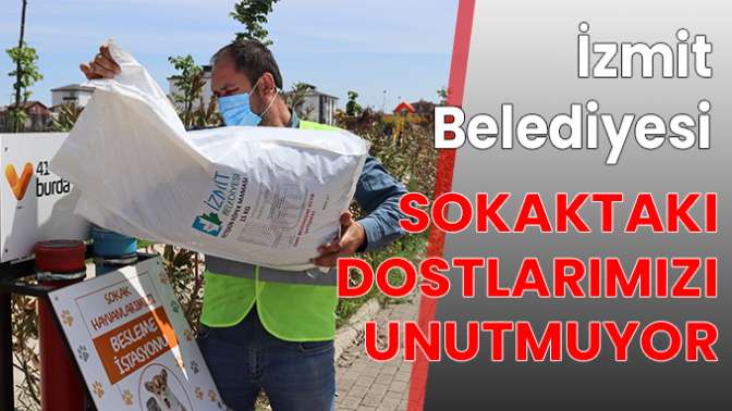 İzmit Belediyesi sokaktaki dostlarımızı unutmuyor