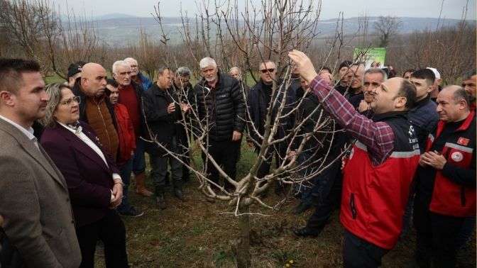 İzmit Belediyesinden üreticilere Meyve Ağacı Budama ve Aşılama Eğitimi