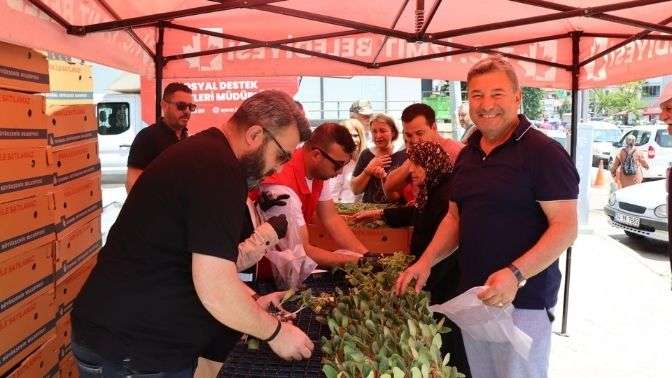 İzmit Belediyesinden vatandaşa ücretsiz fide desteği