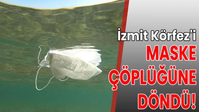 İzmit Körfezi maske çöplüğüne döndü!