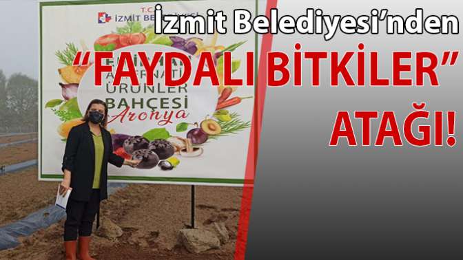 Kansere iyi gelen meyve diktiler