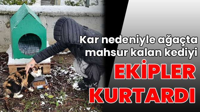 Kar nedeniyle ağaçta mahsur kalan kediyi ekipler kurtardı