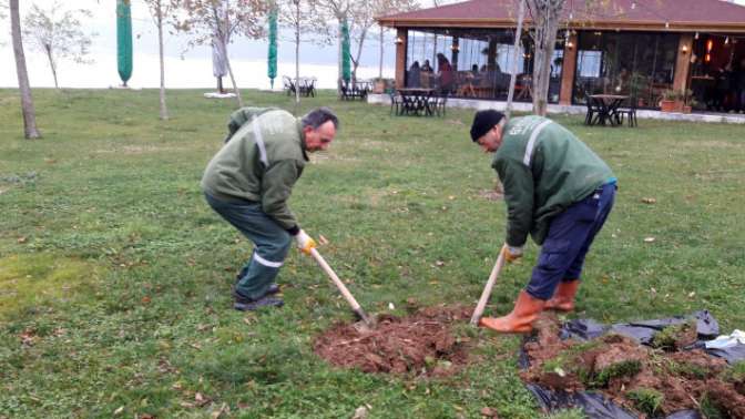 Karamürsel Ereğli Sahili yeşile bürünüyor