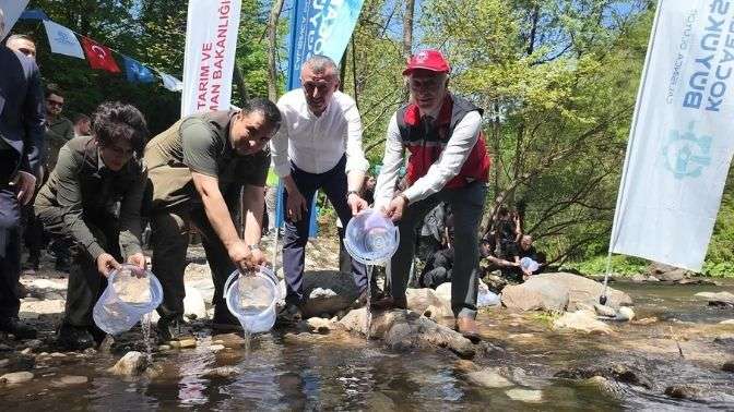 Kirazdere’ye 2 yılda 16 bin alabalık salındı
