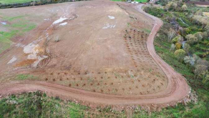 Kocaeli’de 4 bin ağaç toprakla buluşturuluyor