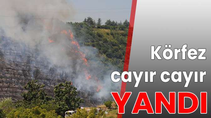 Körfez cayır cayır yandı