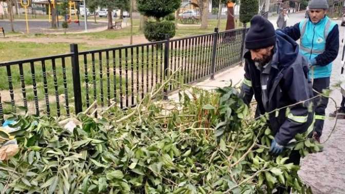 Körfez’de yeşil alanlar bakım altında