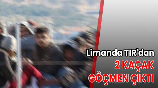 Limanda TIRdan 2 kaçak göçmen çıktı