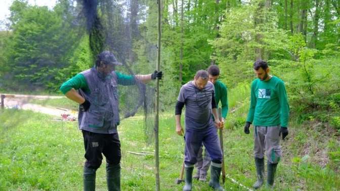 Ormanya’da kuş halkalama istasyonu kuruldu