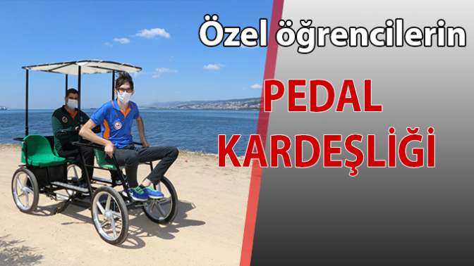 Pedal kardeşliği