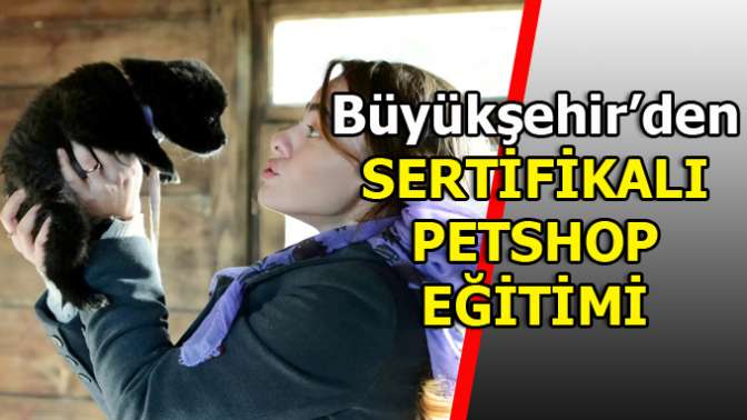 Petshop sertifika eğitimi