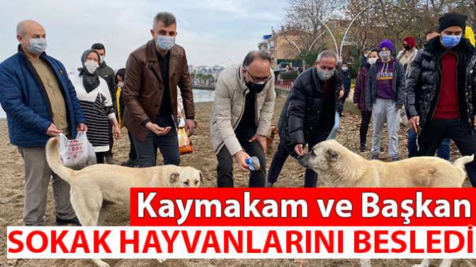 Sokak hayvanlarını beslediler