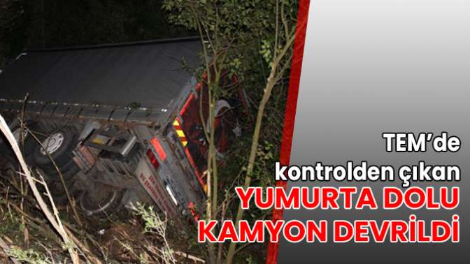 TEM’de kontrolden çıkan yumurta dolu kamyon devrildi