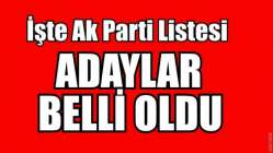 Ak Parti'de liste belli oldu