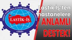 Anlamlı destek