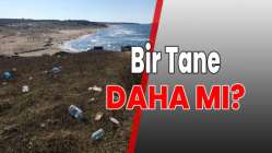 Bir tane daha mı?