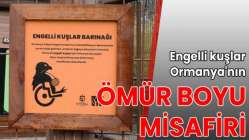 Engelli kuşlar Ormanya’nın ömür boyu misafiri