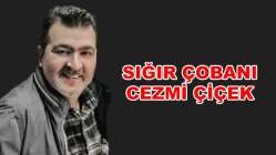 ERDAL SERTEL'İN YAZISI