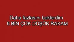 Erdal Sertel'in yazısı