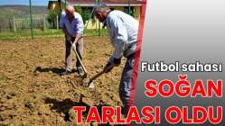 Futbol sahası soğan tarlası oldu