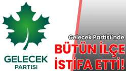 Gelecek Partisi'nde ilçe başkanı ve yönetimi istifa etti