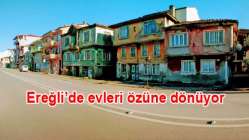 Hayat Buluyor