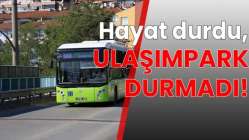 Hayat durdu, UlaşımPark durmadı