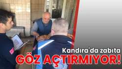 Kandıra'da zabıta göz açtırmıyor!