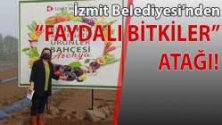 Kansere iyi gelen meyve diktiler