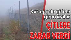 Kartepe'de gölete giren ayılar, çitlere zarar verdi