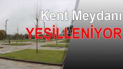 Kent Meydanı yeşillendiriliyor