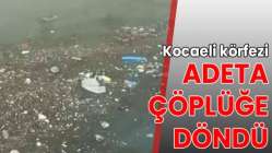 Kocaeli körfezi çöplüğe döndü