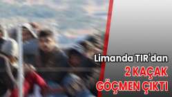 Limanda TIR'dan 2 kaçak göçmen çıktı