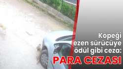 Para cezası uygulandı