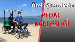 Pedal kardeşliği