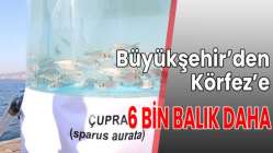 TOPLAMDA 24 BİN ADET YAVRU BALIK