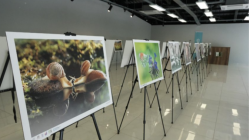 Türkiye’nin Doğası fotoğraf sergisi Ormanya’da açıldı